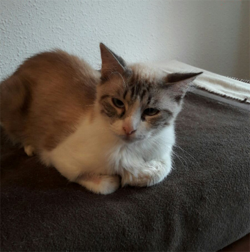 MARINA EN ADOPCION MARINA EN ADOPCION