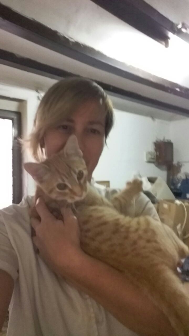 MIMOSIN EN ADOPCION MIMOSIN EN ADOPCION