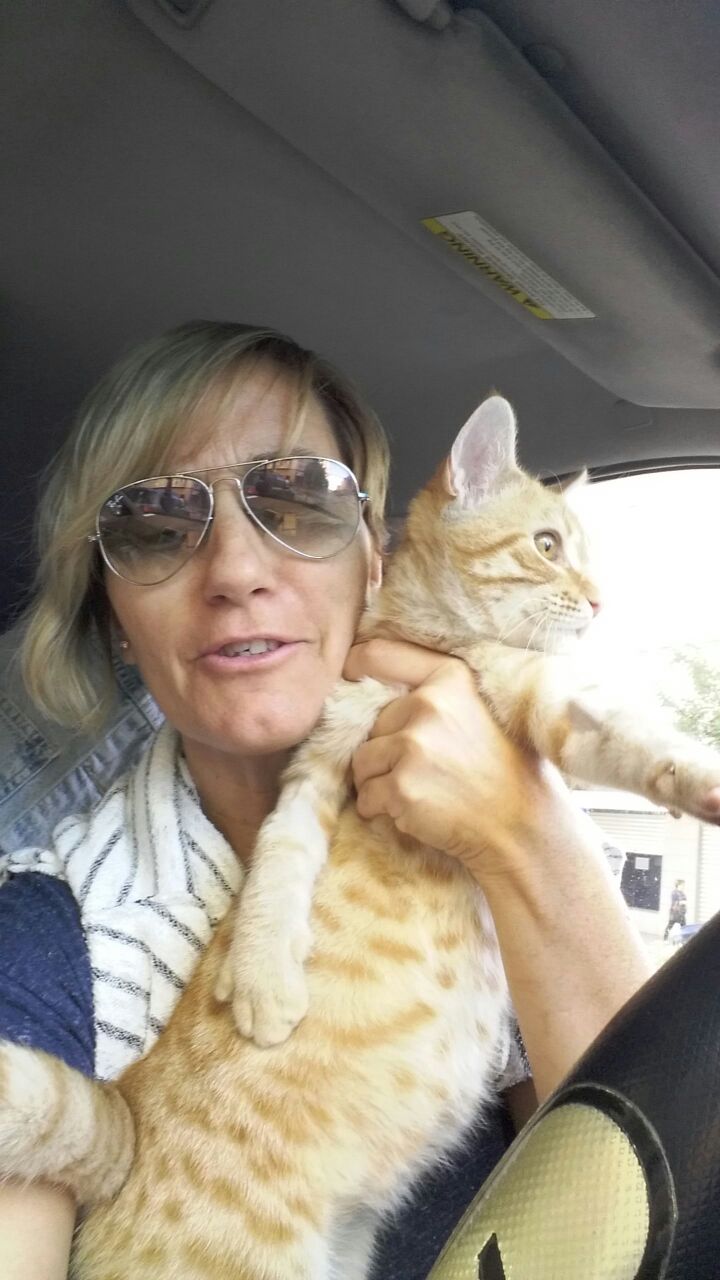 MIMOSIN EN ADOPCION MIMOSIN EN ADOPCION