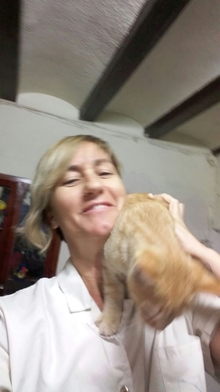 MIMOSIN EN ADOPCION MIMOSIN EN ADOPCION