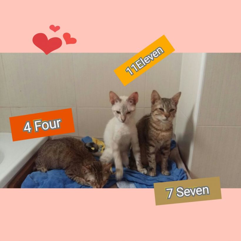 FOUR, SEVEN, ELEVEN