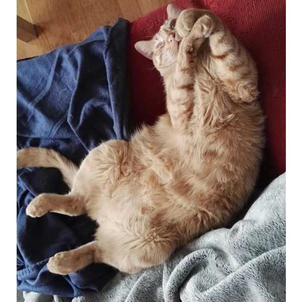 JULIO Y CHANEL JULIO Y CHANEL