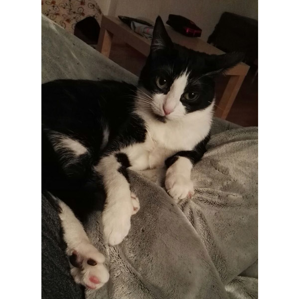 JULIO Y CHANEL JULIO Y CHANEL