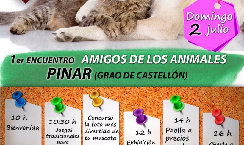 AACC Ayuda Callejeros organiza el 1er encuentro de AMIGOS DE LOS ANIMALES