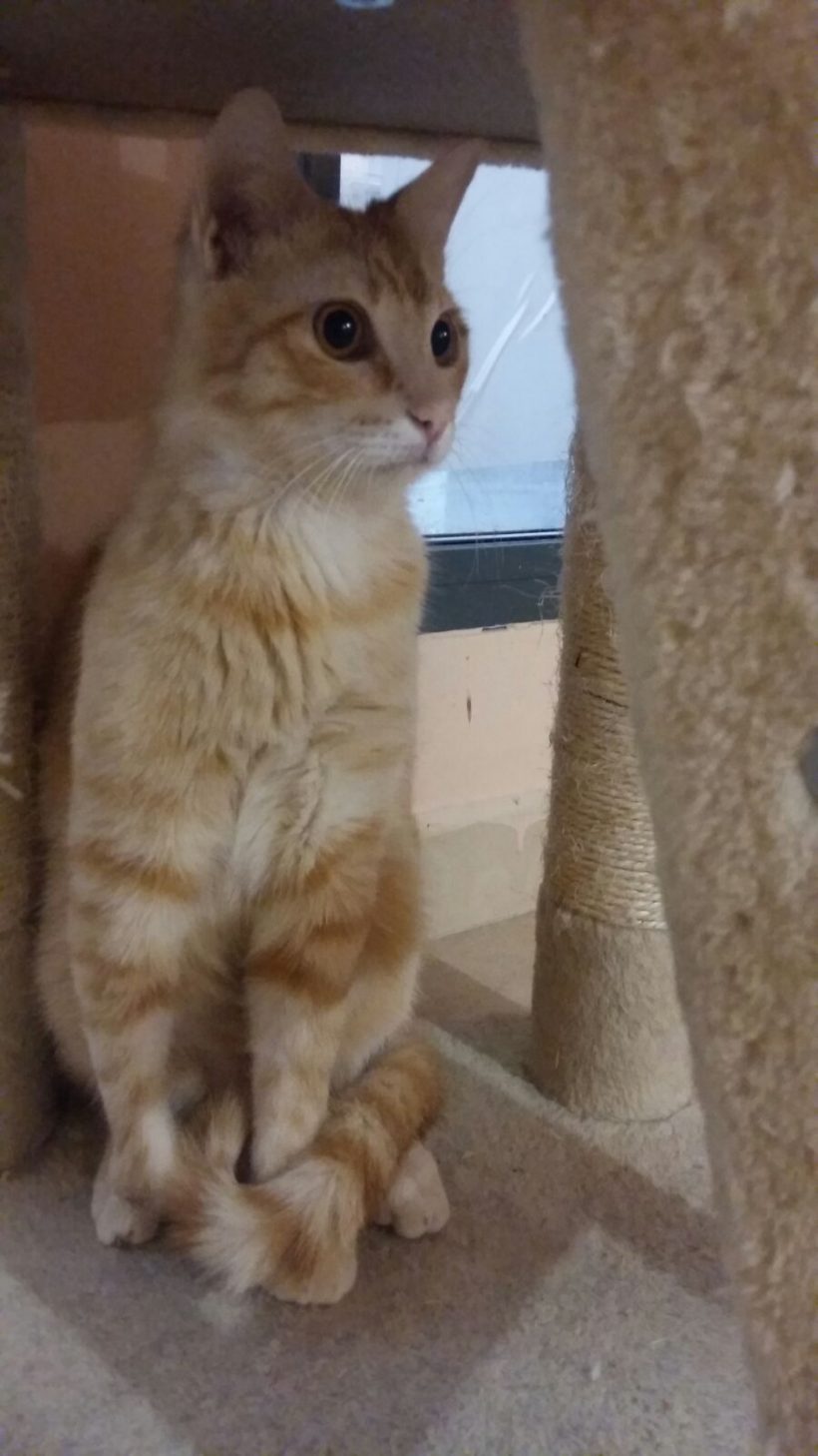 BARBARROJA BARBARROJA