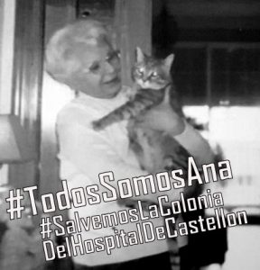 LA DAMA DE LOS GATOS – ANA GÓMEZ