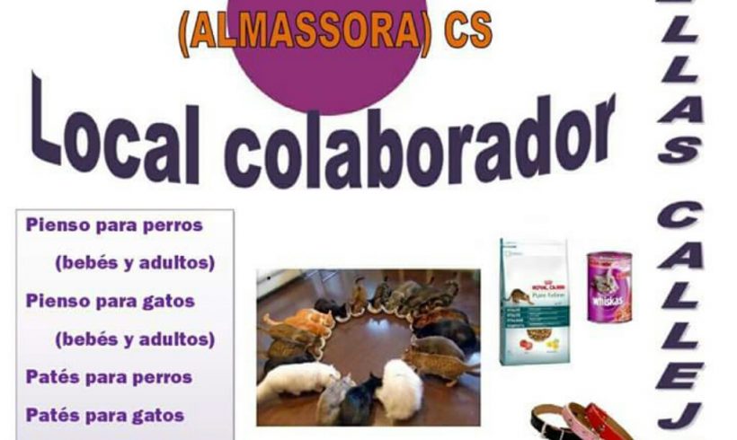 CONSUM – RECOGIDA DE PIENSO Y PRODUCTOS DE LIMPIEZA CONSUM – RECOGIDA DE PIENSO Y PRODUCTOS DE LIMPIEZA