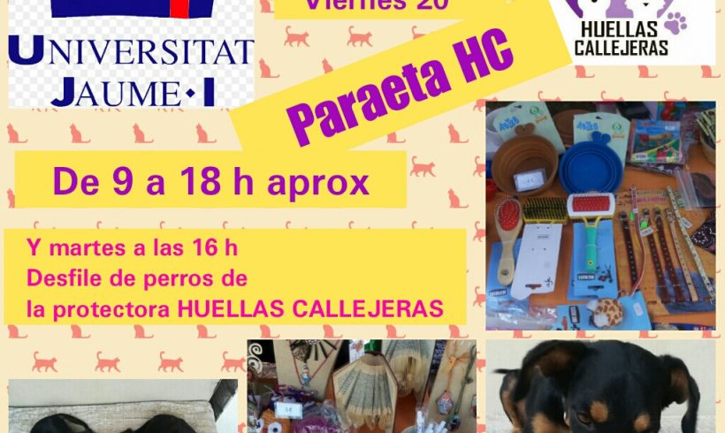 Festival Bienvenida de la Uji Festival Bienvenida de la Uji