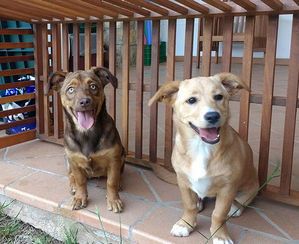 BIANCA Y ANIE BIANCA Y ANIE