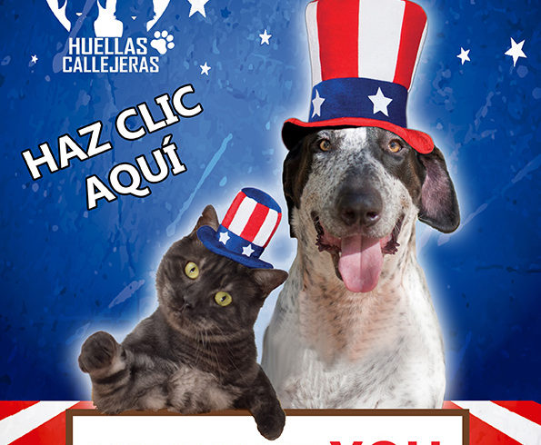 OFERTA DE VOLUNTARIADO