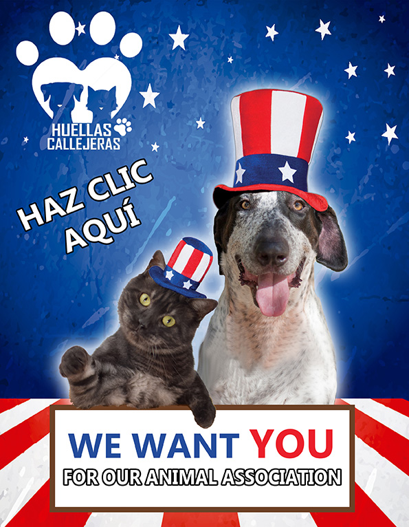 OFERTA DE VOLUNTARIADO OFERTA DE VOLUNTARIADO