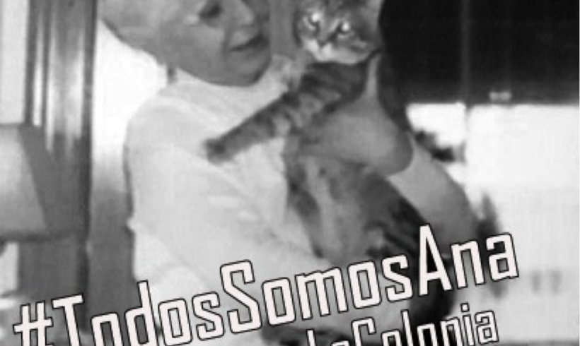 En recuerdo de Ana, la Dama de los Gatos