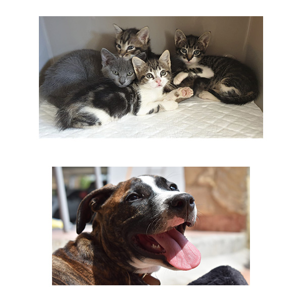 calendario-solidario-2021-bolsillo-2