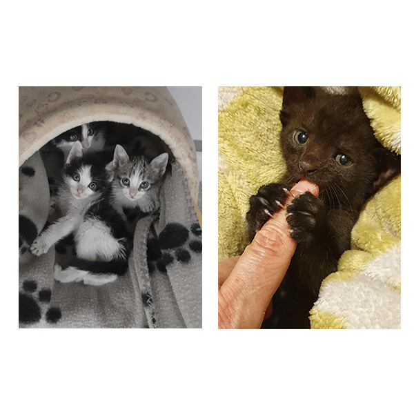 calendario-solidario-2021-bolsillo-3