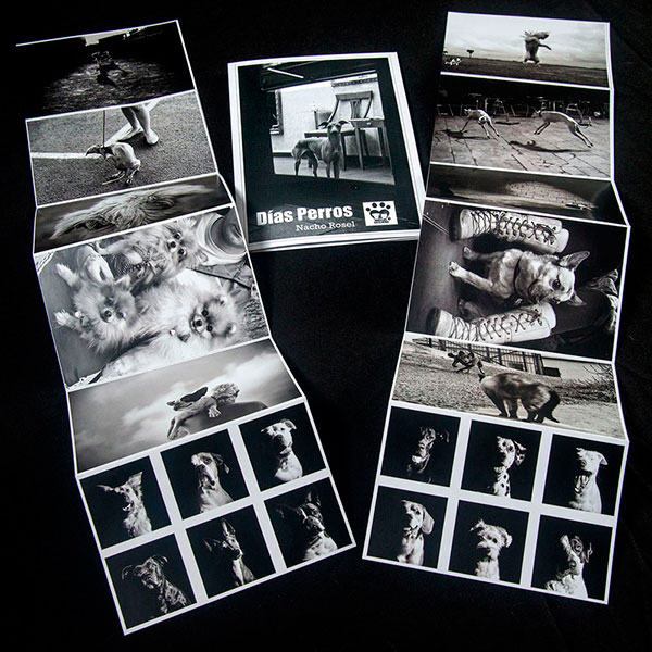 postales-solidarias-dias-perros-compra-online