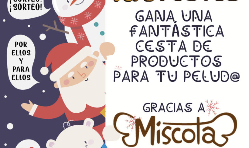 Sorteo navideño para nuestros seguidores de Instagram