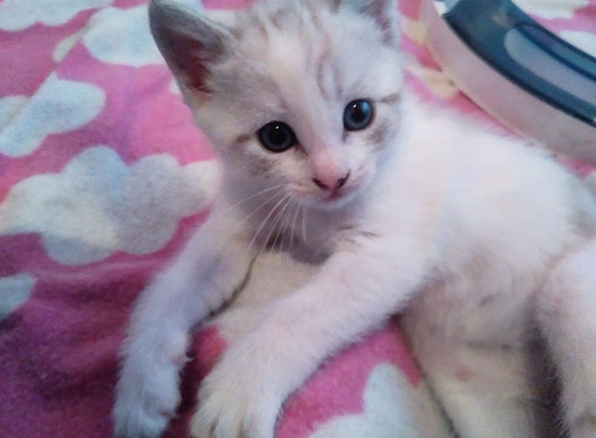 NUBE Y MINI NUBE NUBE Y MINI NUBE