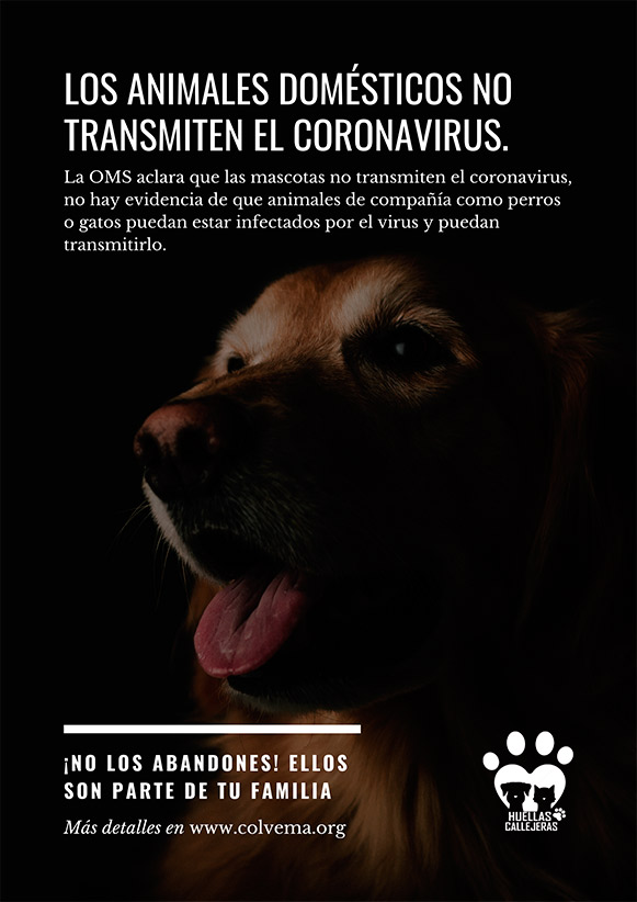 Recomendaciones en relación al COVID-19 y los animales de compañía Recomendaciones en relación al COVID-19 y los animales de compañía