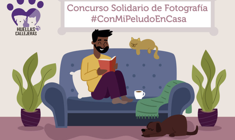 Concurso Solidario de Fotografía #ConMiPeludoEnCasa Concurso Solidario de Fotografía #ConMiPeludoEnCasa