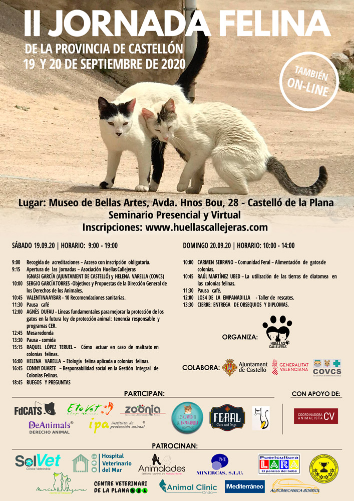cartel II jornada felina de castellón y provincia