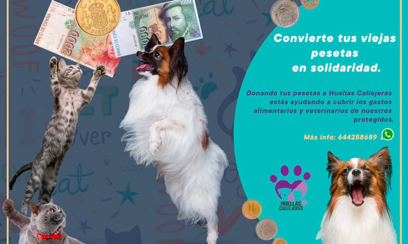 PESETAS = PIENSO PESETAS = PIENSO