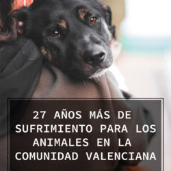 Sobre la futura ley de protección animal de la Comunidad Valenciana