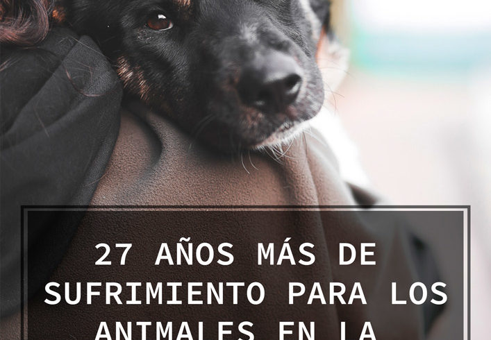 Sobre la futura ley de protección animal de la Comunidad Valenciana