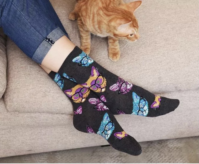 calcetines-gatos-de-colores-con-gafas