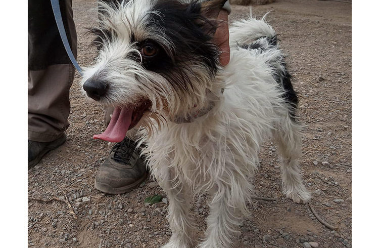 P1599 – BOB P1599 – BOB