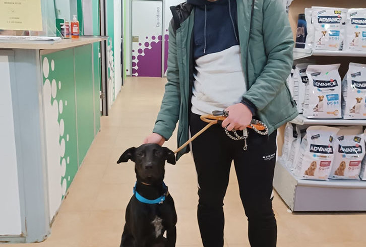 P1442 – NEGRI P1442 – NEGRI