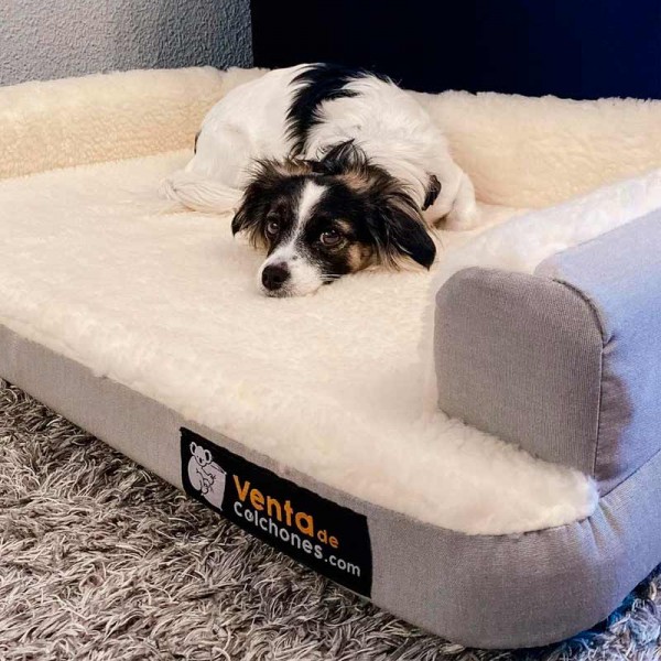 cama-para-perro