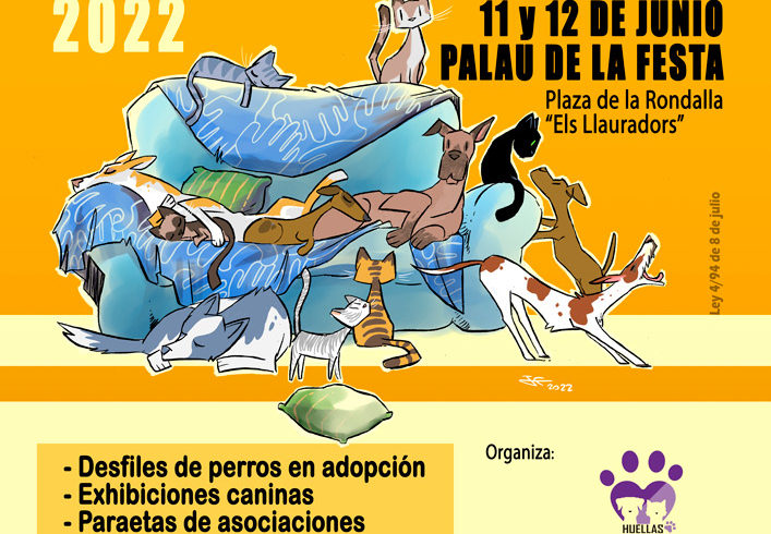 VII Festival de la Adopción de Castellón VII Festival de la Adopción de Castellón