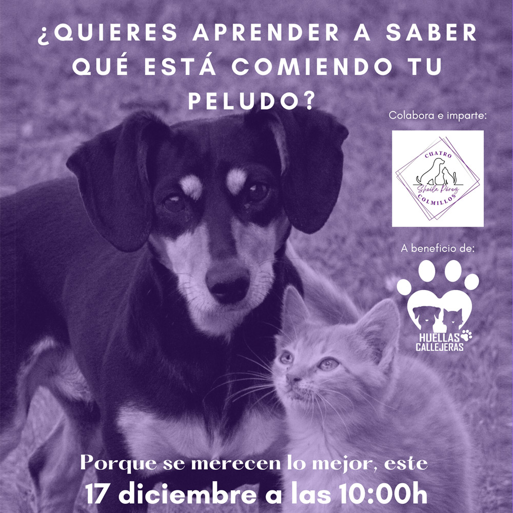 curso-solidario-presencial-sheila-perez-cuatro-colmillos-nutricion-canina-felina-lectura-etiquetas-piensos-imagen-destacada