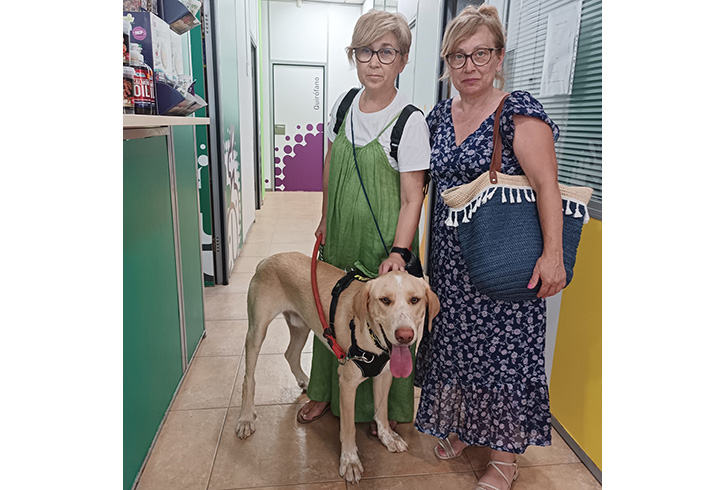 P1723 – TANO P1723 – TANO