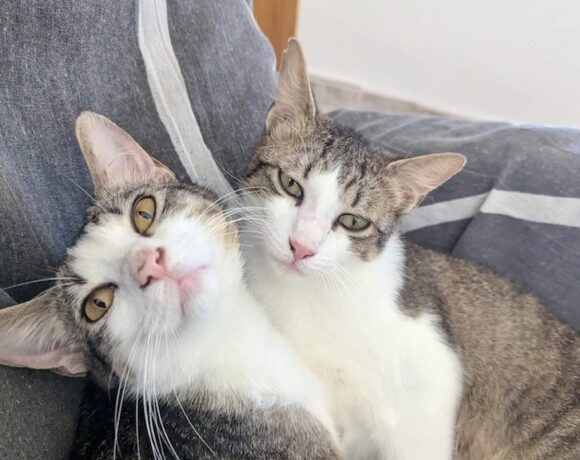 PEDRO y PABLO