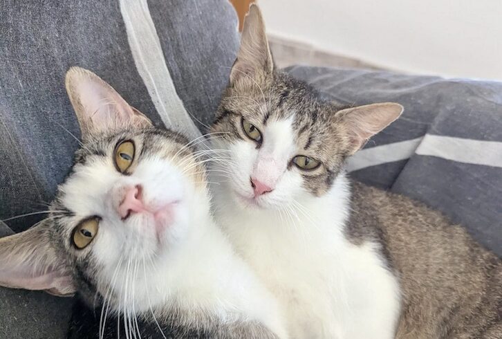 PEDRO y PABLO