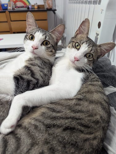 PEDRO y PABLO PEDRO y PABLO
