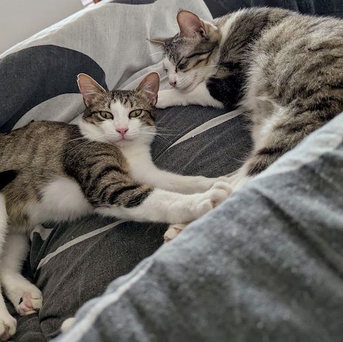 PEDRO y PABLO PEDRO y PABLO