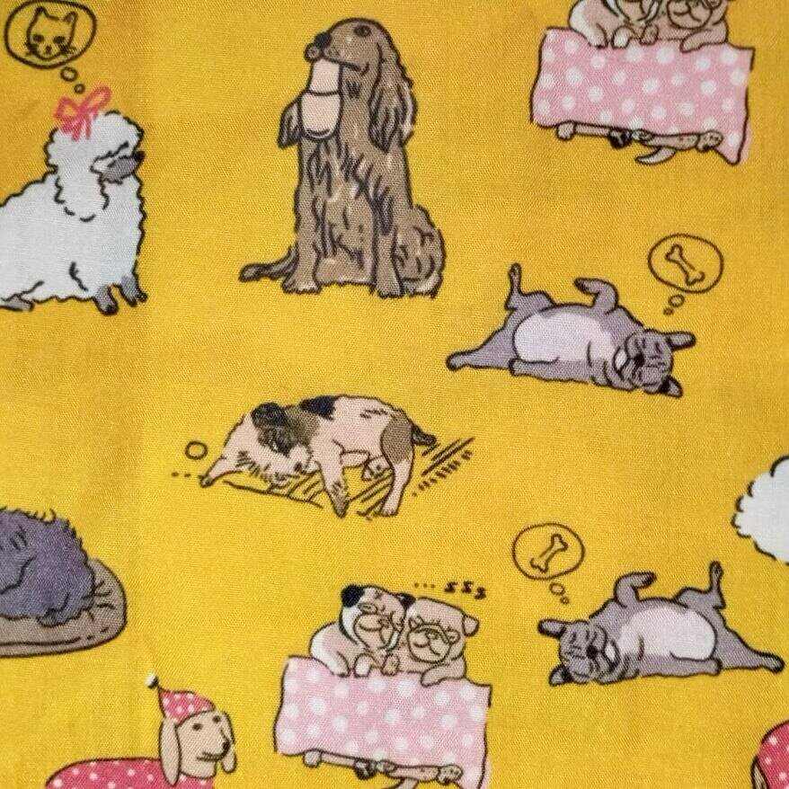 Perros-posturas-divertidas