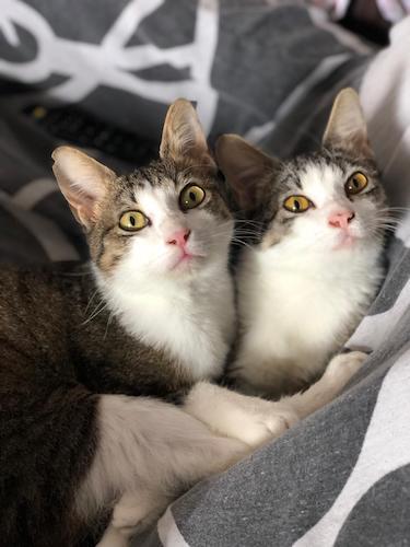PEDRO y PABLO PEDRO y PABLO