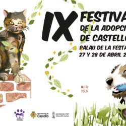 XI Festival de la Adopción de Castellón