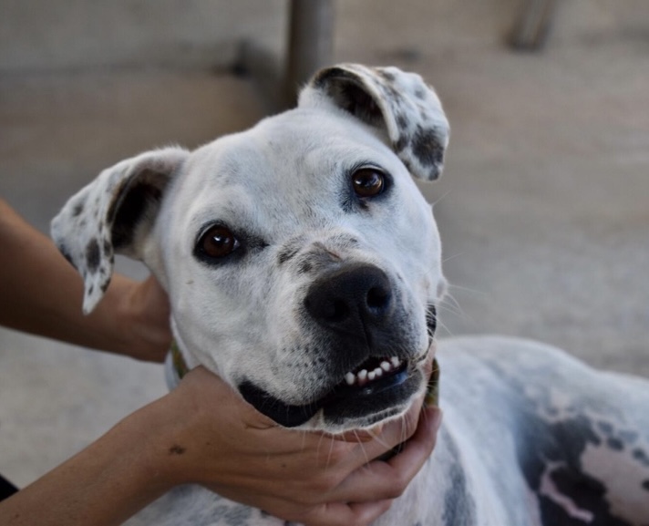 P1972 – TRINI P1972 – TRINI