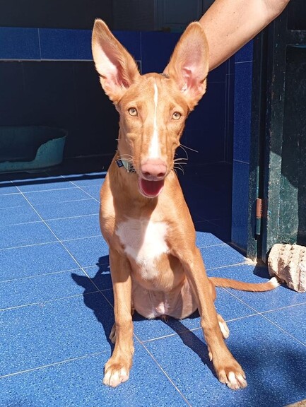 P2030 – TERRA P2030 – TERRA