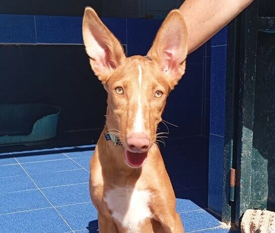 P2030 – TERRA P2030 – TERRA