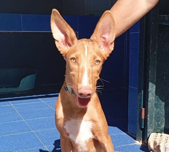 P2030 – TERRA P2030 – TERRA