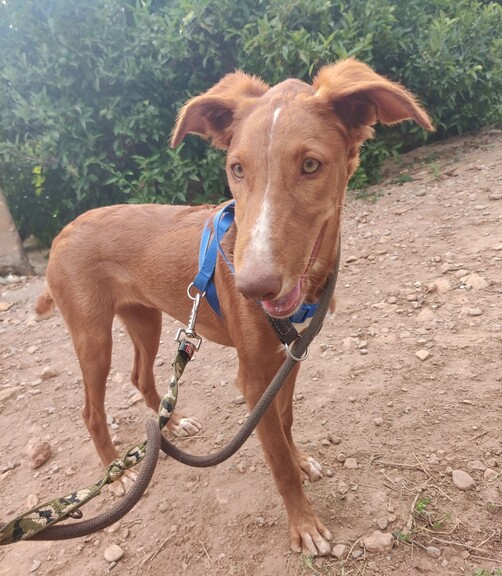 P2030 – TERRA P2030 – TERRA