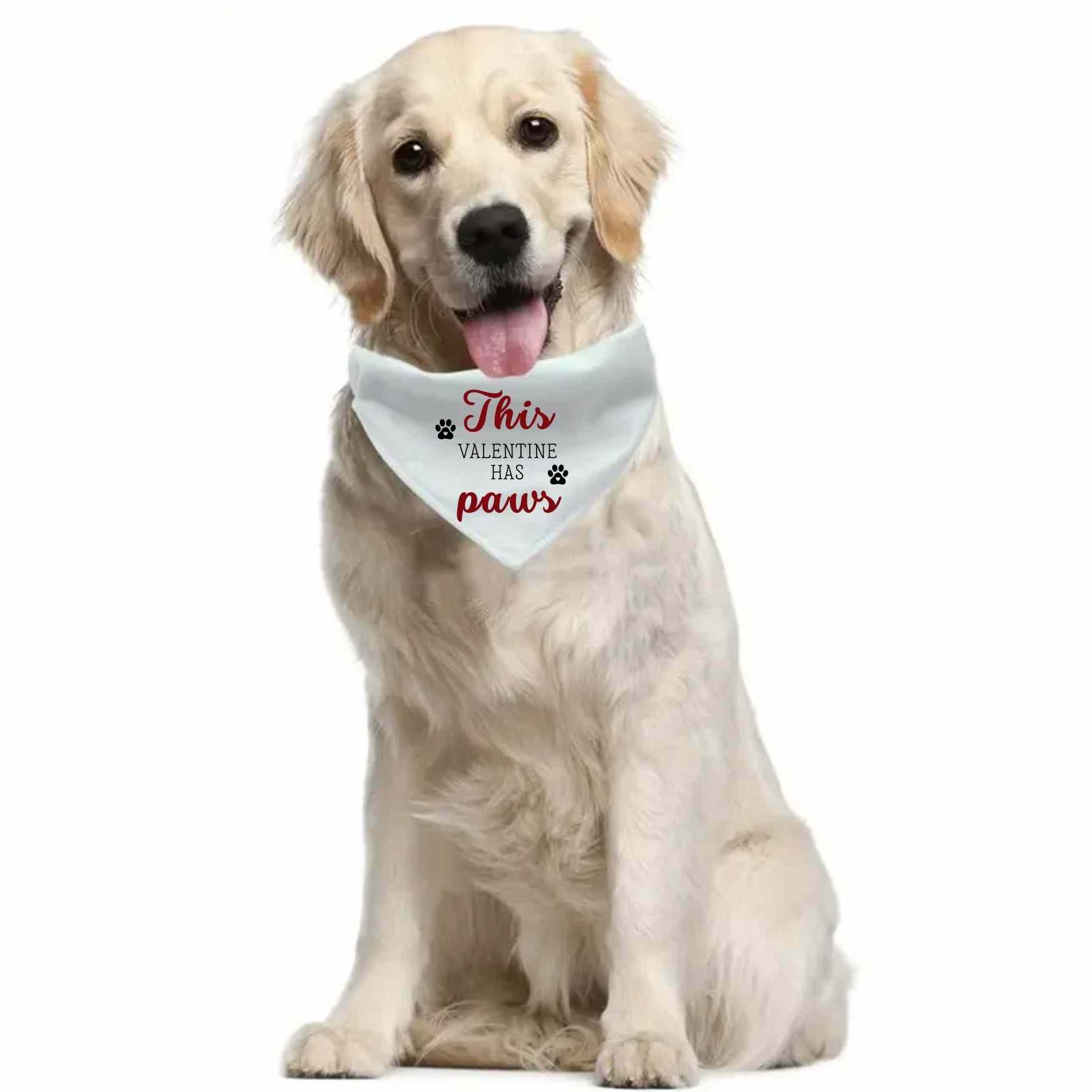 bandana perro valentine
