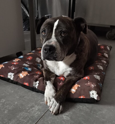 P0483 -Back P0483 -Back