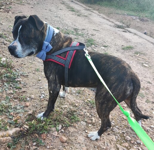 P0483 -Back P0483 -Back