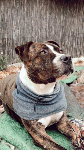 P0483 -Back P0483 -Back